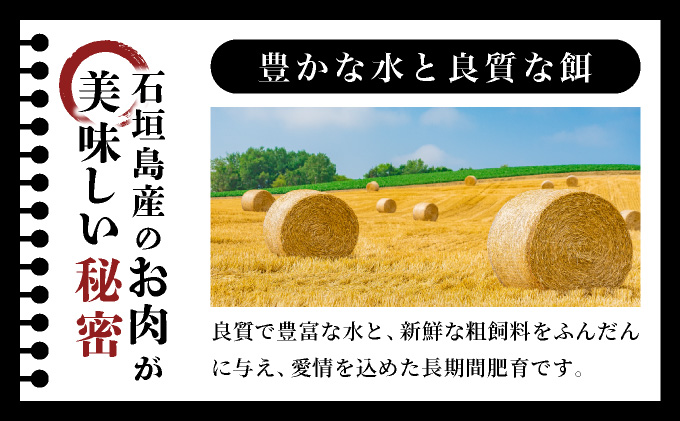 極厚!!肉汁溢れる 石垣島産《黒毛和牛100%》俵ハンバーグ 180g×4個 |和牛 牛肉 冷凍 ハンバーグ 人気 おすすめ 国産 国産牛 小分け 八重山食肉センター YC-8