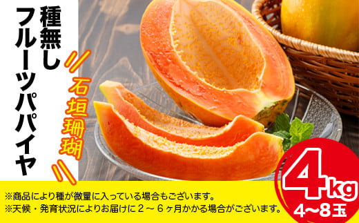 フルーツパパイヤ4kg ZH-14