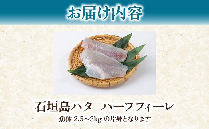 石垣島 ハタ ハーフフィーレ | 勝水産 ミーバイ ヤイトハタ 沖縄県石垣市 石垣 沖縄 石垣市 石垣島 KS-15 ハーフフィーレ