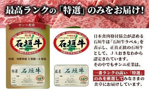 石垣牛 ハンバーグ セット (100g×10個)＜2026年7月発送＞ | 国産 石垣牛100% 沖縄 石垣島産 高級 黒毛和牛 ビーフ ハンバーグセット 2026年7月発送