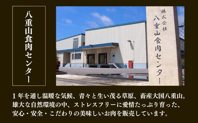 【2026年2月発送】石垣産経産牛ハンバーグ150g×6/箱 2026年2月発送