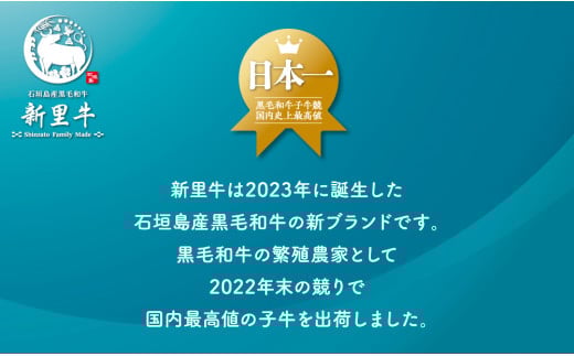 石垣島産 黒毛和牛 新里牛 多用途抜群！煮込み用贅沢角切り（500g×1） 500g カレー シチュー SZ-45