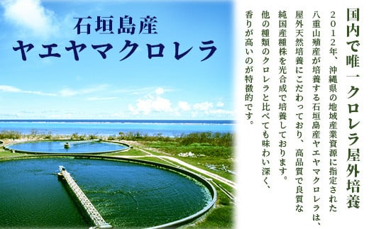 石垣島産ヤエヤマクロレラ粉末（1kg）AR-3【ヤエヤマクロレラ 健康 美容   石垣島産】