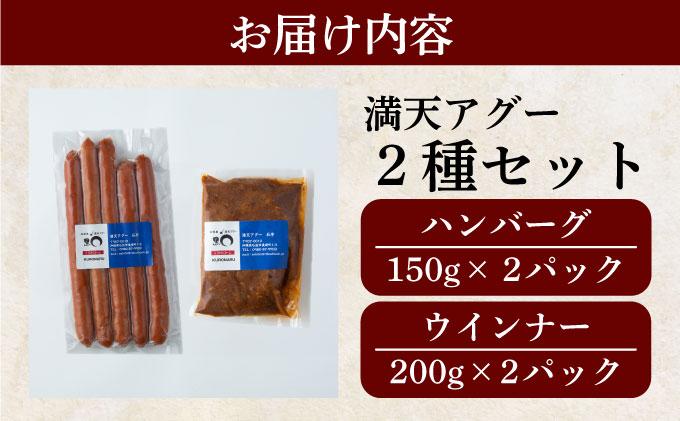 満天アグー 2種セット (ハンバーグ 150g×2 ウインナー 200g×2) | ふるさと納税 沖縄県 石垣市 石垣 沖縄 石垣島 ふるさと 人気 送料無料 アグー 豚 豚肉 ポーク 2種(ハンバーグ＆ウインナー)