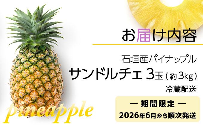 ＜先行予約＞ 石垣島産パイナップル サンドルチェ 3玉 (約3kg) ＜2026年6月上旬順次発送＞｜産地直送 沖縄 石垣 パイナップル パイン フルーツ トロピカル 南国