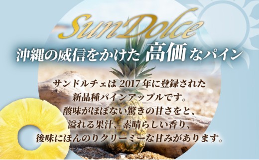 【先行予約】石垣島産 中玉サンドルチェ２玉 合計約1.9kg《2025年夏季 順次発送》【 沖縄 石垣 フルーツ パイナップル パイン サンドルチェ 産地直送 】SI-106 中玉 2個