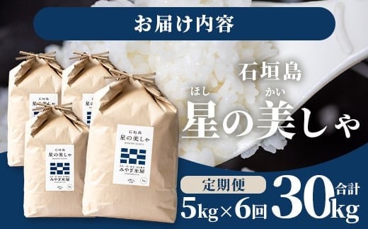 【定期便６回】6ヶ月連続お届け 石垣島産 星の美しゃ（ほしのかいしゃ）30kg（5kg×6回）【 日本一早い新米の産地 ふるさと納税 沖縄県 石垣市 石垣島 米 星 星の美しゃ】MK-7
