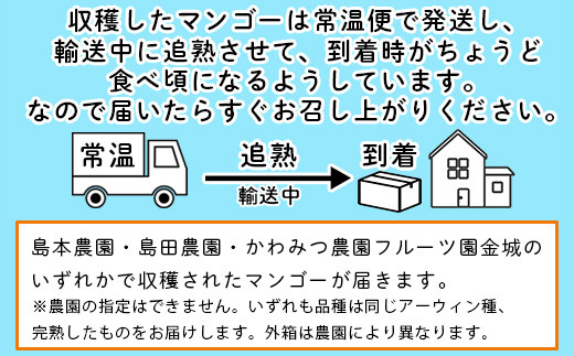 ＜先行予約＞「マンゴー」 ⽯垣島ど真ん中 まるま～さん マンゴー 1kg (2～3玉) ≪2026年7月頃より順次発送予定≫ (アーウィン種)【 産地直送 マンゴー アーウィンマンゴー アップルマンゴー 沖縄県 八重山 石垣産 アーウィン種 マンゴー フルーツ 果物 】 IT-1