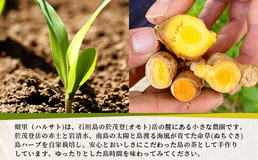 月の茶（4種類ブレンド）【 沖縄 石垣島 お茶 ハーブ ハーブティ レモングラス クワンソウ 】HR-3