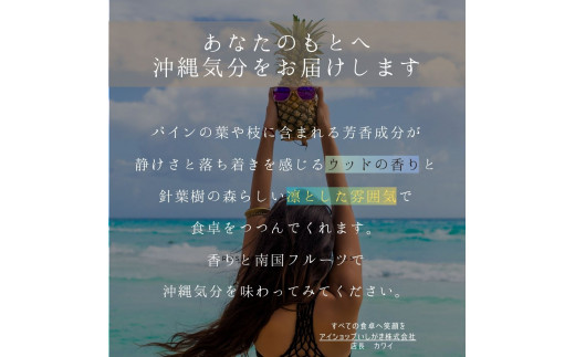 ＜先行予約＞石垣島産・大玉ピーチパイン 6玉 約6.0kg ＜2026年5月以降発送＞【 沖縄県石垣市 石垣島 フルーツ 果物 パイン パインアップル パイナップル 産地直送 】SI-038 大玉 6玉 約6.0kg
