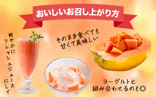 フルーツパパイヤ４kg 【 パパイヤ フルーツパパイヤ 果物 くだもの フルーツ 果実 国産  沖縄県 沖縄 石垣 石垣島 石垣市 】ZH-14