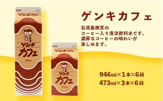 【ふるさと納税限定】【定期便_6回】八重山ゲンキ乳業 オールスターセット【八重山ゲンキ乳業】【ゲンキ牛乳】【石垣島のソウルドリンク ゲンキクール】【ゲンキカフェ】【さんぴん茶ミルクティー】GN-2_6t 定期便6回