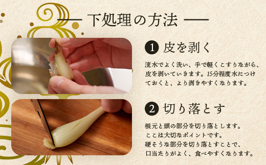 石垣島産 島らっきょう 1000g ＜2026年4月発送予定＞ | 沖縄 石垣 野菜 らっきょう 島らっきょう 1kg 産地直送 SI-101