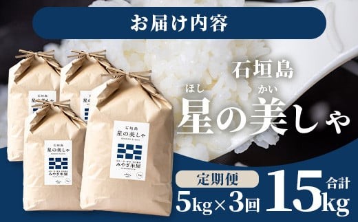 【定期便３回】３ヶ月連続お届け 石垣島産 星の美しゃ（ほしのかいしゃ）15kg（5kg×3回）【 日本一早い新米の産地 ふるさと納税 沖縄県 石垣市 石垣島 米 星 星の美しゃ】MK-6