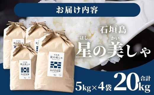 石垣島産 星の美しゃ（ほしのかいしゃ）20kg（5kg×4袋）【 日本一早い新米の産地 ふるさと納税 沖縄県 石垣市 石垣島 米 星 星の美しゃ】MK-5