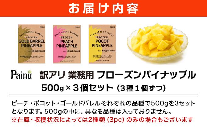 訳アリ 業務用冷凍カットパイナップル500g×3点セット PU-02 訳アリ：500g×3個(3種1個ずつ)