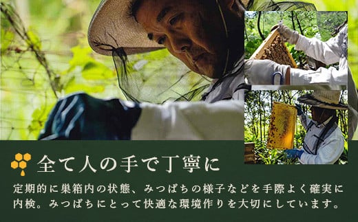 石垣島はちみつ　春蜜500g×2本（ソフトボトル）≪春蜜をご家庭用に≫ 【 石垣島産 沖縄 石垣 はちみつ 蜂蜜 ハチミツ ハニー 】HC-4