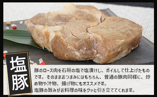 【 冷蔵 】 石垣島ビールおつまみセット大 【 石垣島 ビール つまみ セット 】 V-23