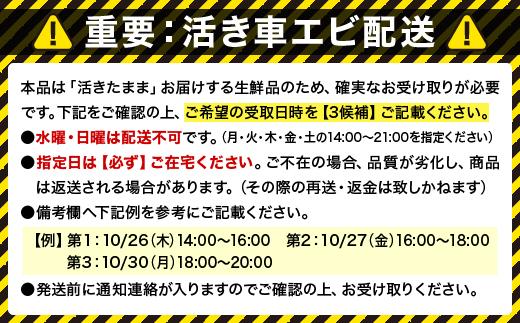 活車えび 1kg【季節限定】50尾前後 沖縄県 石垣島 石垣市 活き くるまえび 車エビ BE-3 1kg 50尾前後