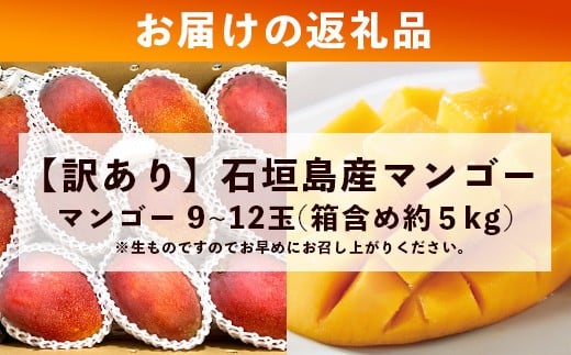 【訳あり】石垣島産 マンゴー (アーウィン種)  9～12玉(箱含め約5kg) 《樹齢30年の木で育ったマンゴー》｜産地直送 沖縄 石垣島 マンゴー  アーウィン マンゴー フルーツ TP-3 【訳あり】約5kg（9～12玉）