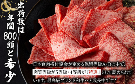 【2025年11月以降順次発送】特選石垣牛の贅沢なお肉付き牛スジをご家庭で！！牛スジ500g×3パック | 沖縄 石垣 牛スジ 牛 肉 特選 黒毛 和牛 贅沢 | IM-21 牛スジ1.5kg(500g×3パック)