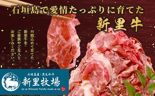 石垣島産 黒毛和牛 新里牛 多用途抜群！ 切落し (500g×2) 合計1kg SZ-12