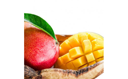 ＜先行予約＞ 石垣島産 完熟マンゴー 約5kg (7～12個入り) ＜2026年7月中旬以降発送＞ | 産地直送 沖縄 石垣 フルーツ マンゴー アップルマンゴー 完熟マンゴー SI-057