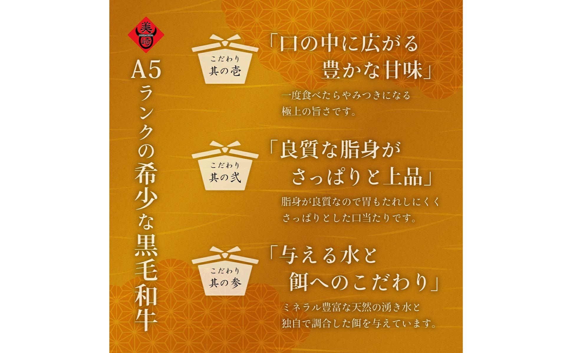 美崎牛 100％ ハンバーグ 200g×5個 | 沖縄のブランド牛「美崎牛」を贅沢に使用したご当地グルメ 牛肉 和牛 黒毛和牛 沖縄 石垣 A5 オーガニック 幻の和牛 ハンバーグ