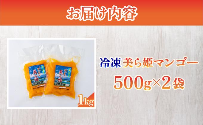 冷凍美ら姫マンゴー 1kg（500g×2袋）CB-3 1kg