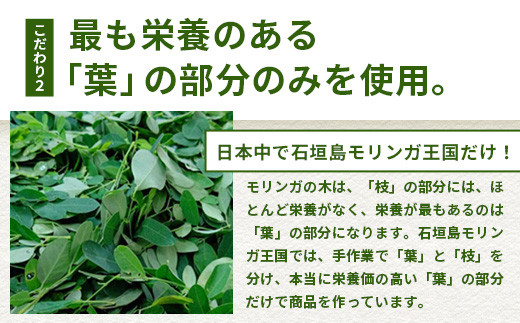  モリンガ青汁（スティックタイプ）MR-2-1