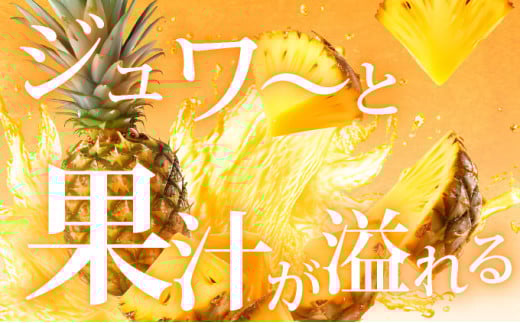 ＜先行予約＞ 石垣島産 ゴールドバレルパイン 大玉3個入り 約5.1kg ＜2026年7月以降発送＞ | 産地直送 沖縄 石垣 フルーツ パイナップル パイン ゴールドバレルパイン SI-40 【大玉】3玉入り(計約5.1kg)