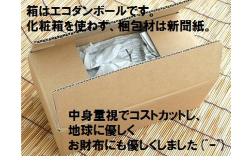 ＜先行予約＞ 石垣島産 《訳あり・ご自宅用マンゴー》 約2kg エコ箱入り (3～6個入り) ＜2026年7月中旬以降発送＞ | マンゴー 沖縄 石垣 規格外 SI-030