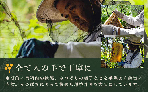 石垣島はちみつ　春蜜 200g×2本（ソフトボトル）≪春蜜をご家庭用に≫ 【 石垣島産 沖縄 石垣 はちみつ 蜂蜜 ハニー ハチミツ 】HC-3