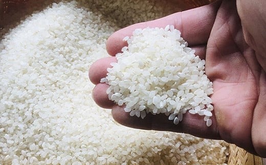 石垣島産 星の美(かい)しゃ 10kg みやぎ米屋 【 日本一早い新米の産地 米 お米 産地直送 旬 ほしじるし 沖縄県 石垣市 】MK-4 