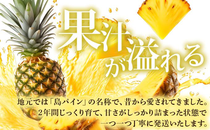 【先行予約】夏実パイン（ハワイ種）大玉2～3個 計2.6kg《2026年7月下旬発送》【 産地直送 沖縄 石垣 フルーツ パイナップル パイン ハワイ 夏実パイン 】SI-47 大玉2～3個 計2.6kg