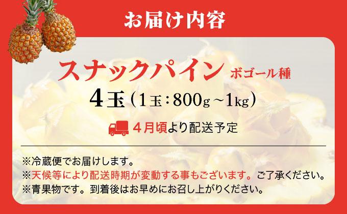 ＜先行予約＞ スナックパイン 4玉 ＜2026年4月発送＞ | 沖縄県 石垣市 石垣島産 パイン パイナップル ZH-018