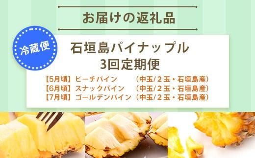 【予約受付】【定期便】石垣島産 パイナップル 3回 定期 3種 計6玉【2026年 5月頃・6月・7月頃お届け】  ふるさと納税 パイナップル パイン フルーツ 果物 果実 定期便 定期 3回 3か月 沖縄県 石垣市 石垣島 産地直送 ふるさと 人気 送料無料 KP-18