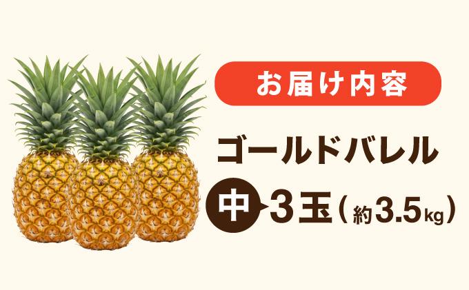 ≪5月上旬順次発送≫ゴールドバレル 中 3玉（約3.5kg） TP-16 ゴールドバレル 中 3玉（約3.5kg）