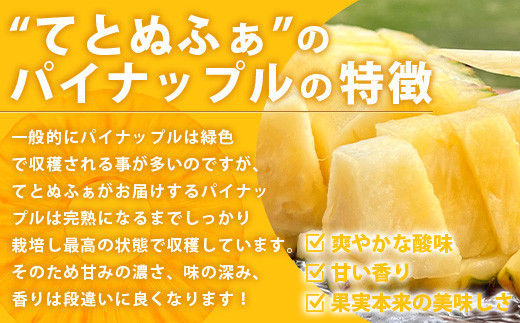 《2024年6月下旬～7月末発送》【先行予約】島の美味しい詰め込んだよくばりセット！【 産地直送 沖縄 石垣島 石垣 八重山 マンゴー、パイナップル、シークワーサー フルーツ くだもの 果物 】TF-9