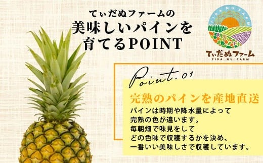 【先行予約】《2026年7月上旬頃より順次発送》石垣島産 ハワイ種パイン 3～4玉セット 約4.2㎏【 産地直送 石垣島産 石垣 完熟 パイン パイナップル 】TD-7