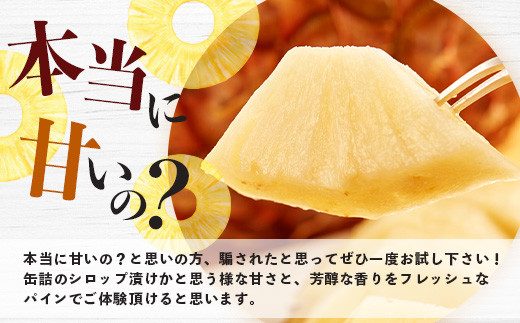 《2026年5月中旬以降順次発送》香りに溺れる！？ 完熟の極 てとの黄金パイン大玉約4kg【 沖縄 石垣 ゴールデン 黄金 パイン パイナップル 完熟 大玉 セット フルーツ デザート 】TF-25_R8