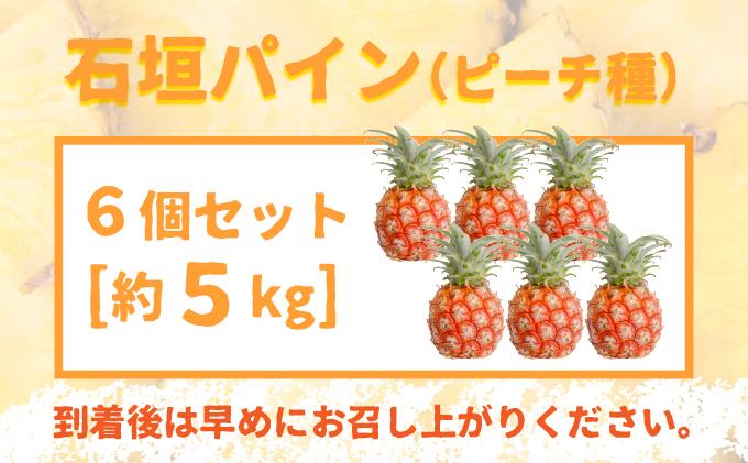 ＜先行受付＞ 石垣パイン ピーチ種 6個セット ＜2026年5月初旬～6月初旬発送予定＞ | パイナップル パインアップル 石垣島パイン フルーツ 果物 くだもの 南国フルーツ 国産パイン 6個セット
