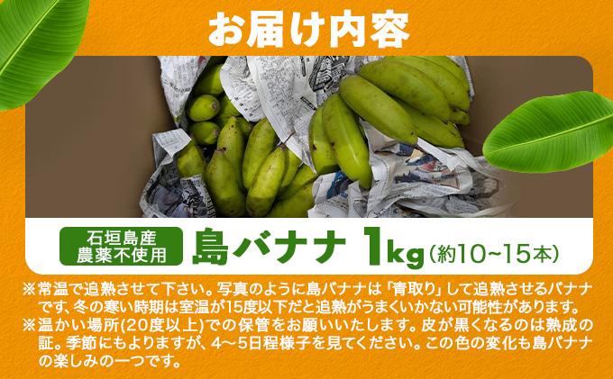 バナナの医学 石垣島産 島バナナ 約1kg 農薬不使用 | バナナ 石垣 沖縄 1kg 無農薬 DF-001