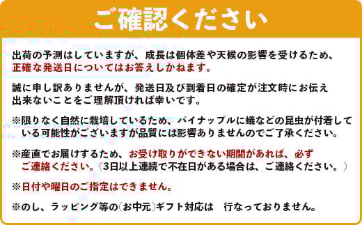 《2026年4月～6月発送》最高糖度18度！？ 石垣島産完熟スナックパイン 2個セット 【 沖縄県 石垣市 石垣島 完熟 パイン パイナップル スナック 産地直送 】TF-23_R8
