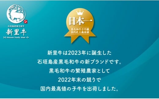 石垣島産 黒毛和牛 新里牛 中落ちゲタカルビ（200g×2）焼肉 バーベキュー SZ-26