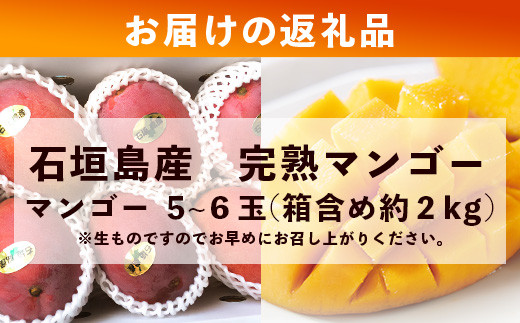 【先行予約】《2026年7月以降より順次発送》石垣島産 マンゴー (アーウィン種) 5～6玉(箱含め約2kg)《樹齢30年の木で育ったマンゴー》｜産地直送 沖縄 石垣島 マンゴー  アーウィン マンゴー フルーツ TP-2 約2kg（5～6玉）