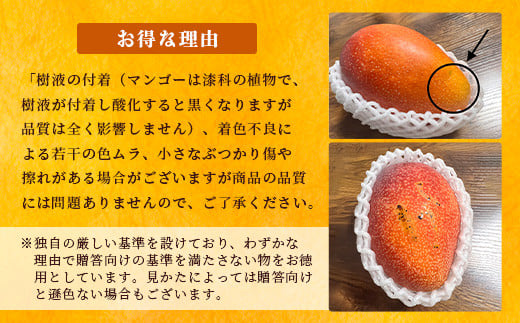 【先行予約】《2026年6月下旬～7月下旬発送》 最高糖度20度！？ 完熟！3Lサイズ 石垣島マンゴー 2玉約900g【沖縄 石垣島 石垣 八重山 マンゴー 完熟マンゴー 期間限定 数量限定 沖縄県 石垣島産 】TF-5-1_R8