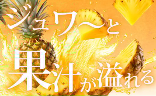 【先行予約】石垣島産 スナックパイン ずっしりの「大玉」3個入り 《2026年5月以降発送》 SI-26-1 大玉 3玉 約3.9kg