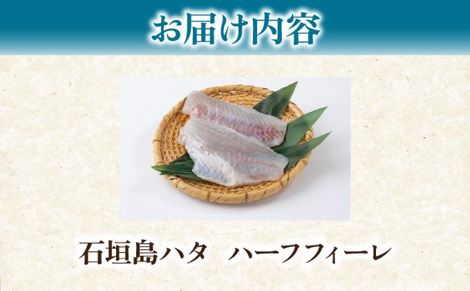 石垣島 ハタ ハーフフィーレ | 勝水産 ミーバイ ヤイトハタ 沖縄県石垣市 石垣 沖縄 石垣市 石垣島 KS-15 ハーフフィーレ