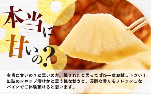 《2026年5月中旬以降順次発送》【先行予約】香りに溺れる！？ 完熟の極 てとの黄金パイン大玉約2kg【 沖縄 石垣 ゴールデン パイン パイナップル 完熟 セット フルーツ デザート オリジナル 】 TF-31_R8